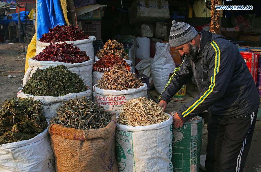 INDIAN-CONTROLLED KASHMIR-SRINAGAR-DAILY LIFE