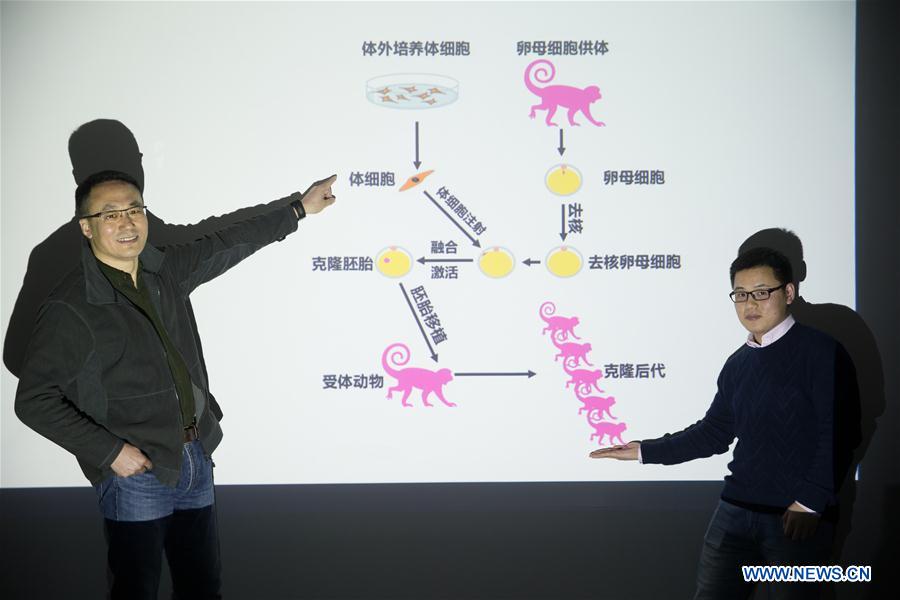 CHINA-BEIJING-CLONED MACAQUES-SUCCESS (CN)