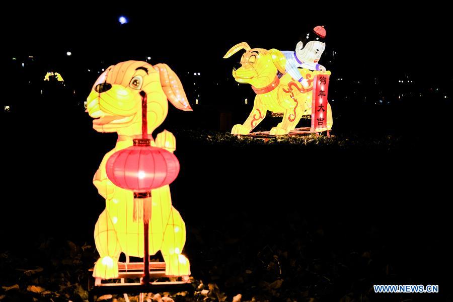 CHINA-ZHEJIANG-WUZHEN-LANTERN SHOW (CN)