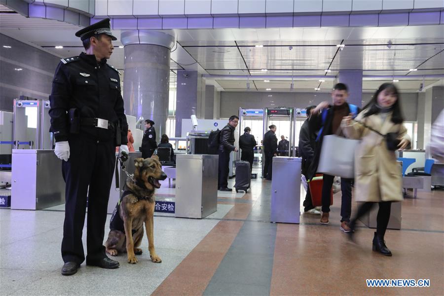 CHINA-GUIYANG-POLICE DOG (CN)