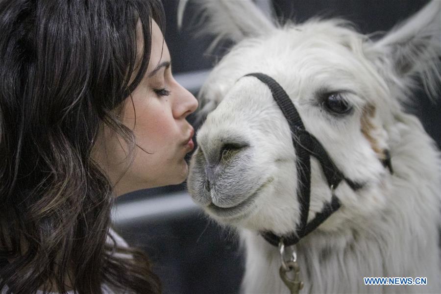 CANADA-VANCOUVER-PET LOVER SHOW