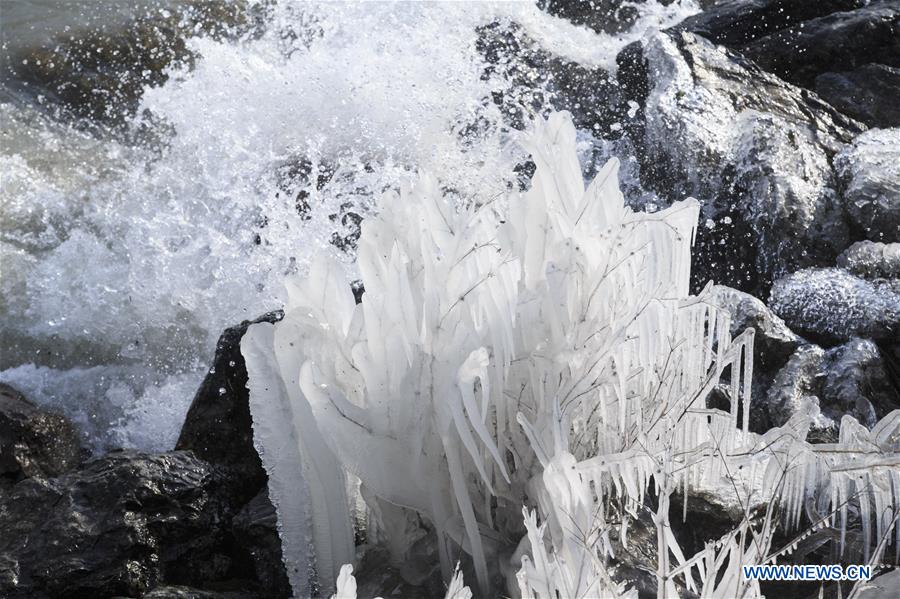 SWITZERLAND-GENEVA-LAKE LEMAN-ICICLES