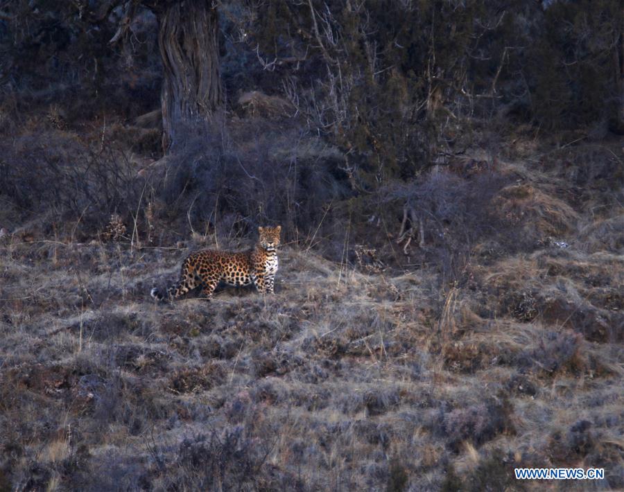 XINHUA PHOTO WEEKLY CHOICES (CN)