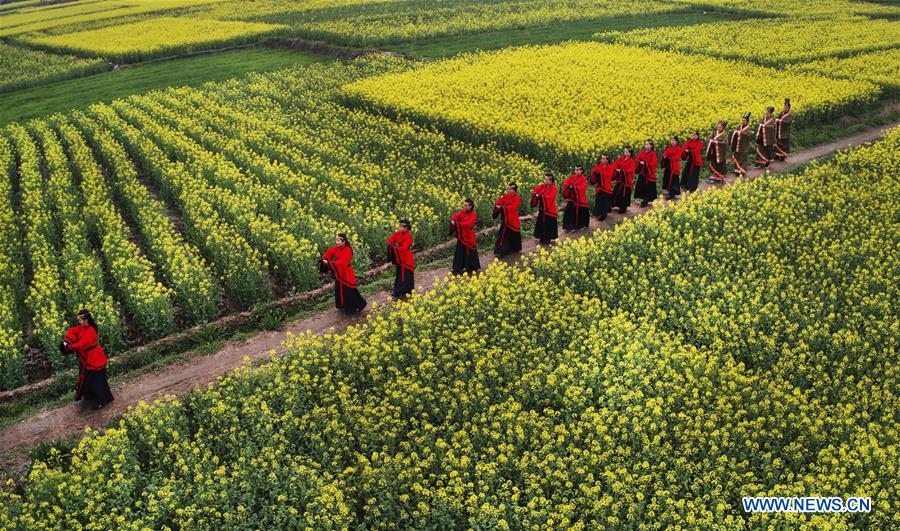 CHINA-SHAANXI-COLE FIELD-SHOW (CN)