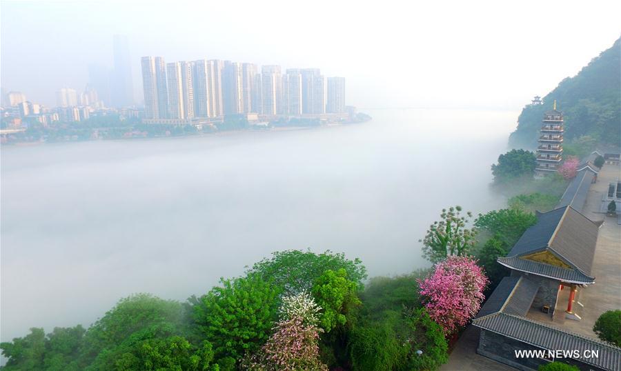 #CHINA-GUANGXI-ADVECTION FOG (CN)