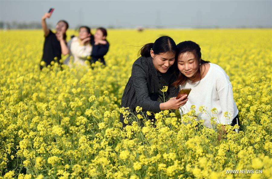 CHINA-HEBEI-SHIJIAZHUANG-SCENERY (CN)