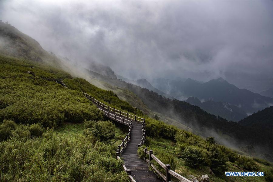 CHINA-HUBEI-SHENNONGJIA-SCENERY (CN)