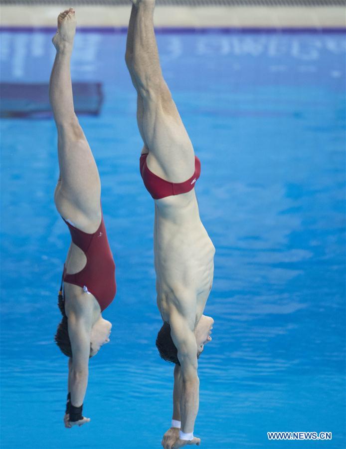 (SP)CHINA-WUHAN-DIVING-FINA-WORLD CUP (CN)