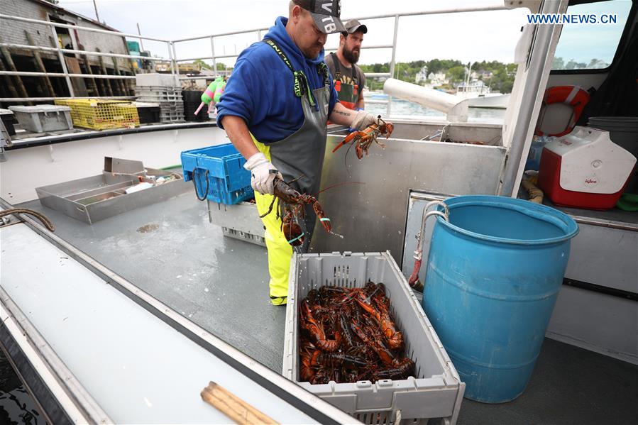 Xinhua Headlines: Tariff conflict with China raises alarm in lobster industry in U.S. state