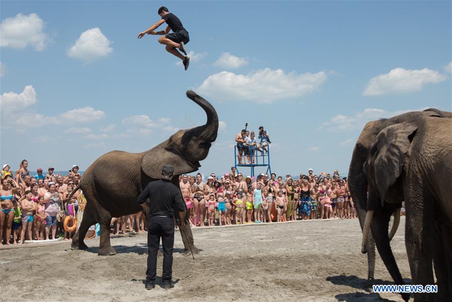 HUNGARY-BALATONLELLE-SUMMER-CIRCUS-ELEPHANT