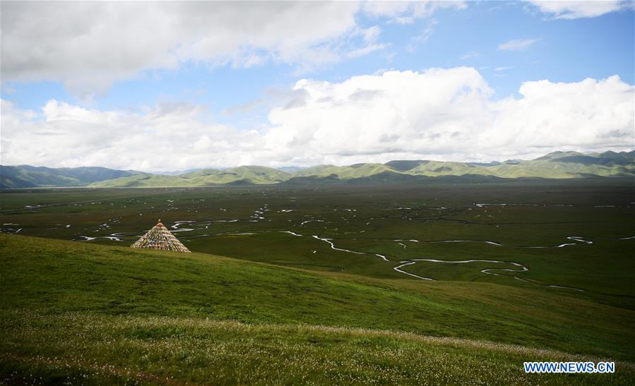 CHINA-GANSU-MAQU-WETLAND-SCENERY (CN)