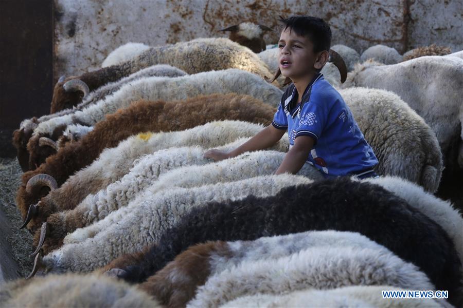 LEBANON-BEIRUT-EID AL-ADHA-PREPARATION