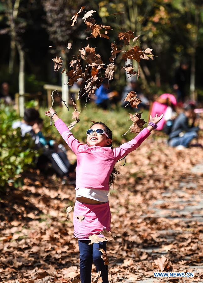 CHINA-GUIZHOU-GUIYANG-WETLAND PARK-AUTUMN SCENERY (CN)