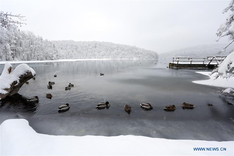 XINHUA PHOTOS OF THE DAY