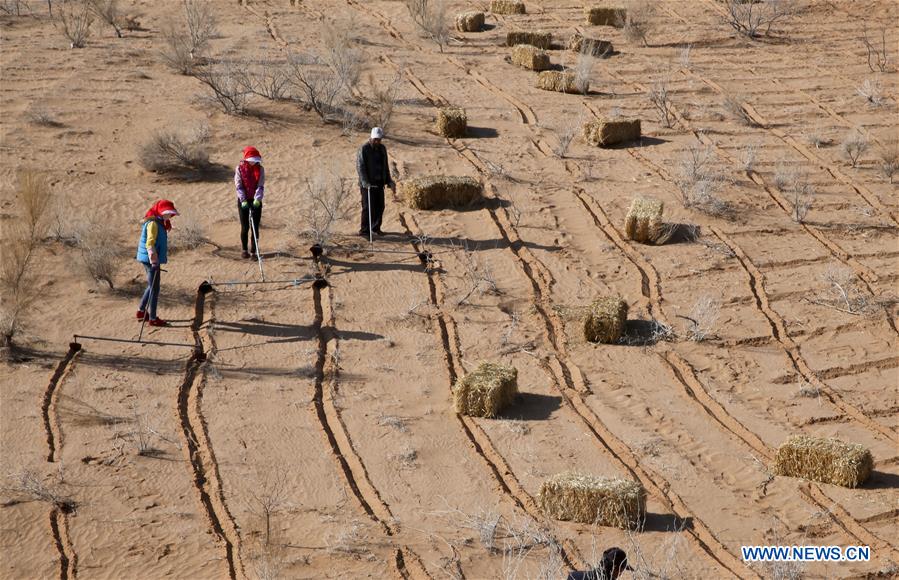 #CHINA-GANSU-ZHANGYE-DESERT CONTROL (CN)