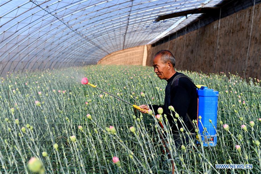 CHINA-SHANXI-HUGUAN-AGRICULTURE (CN)