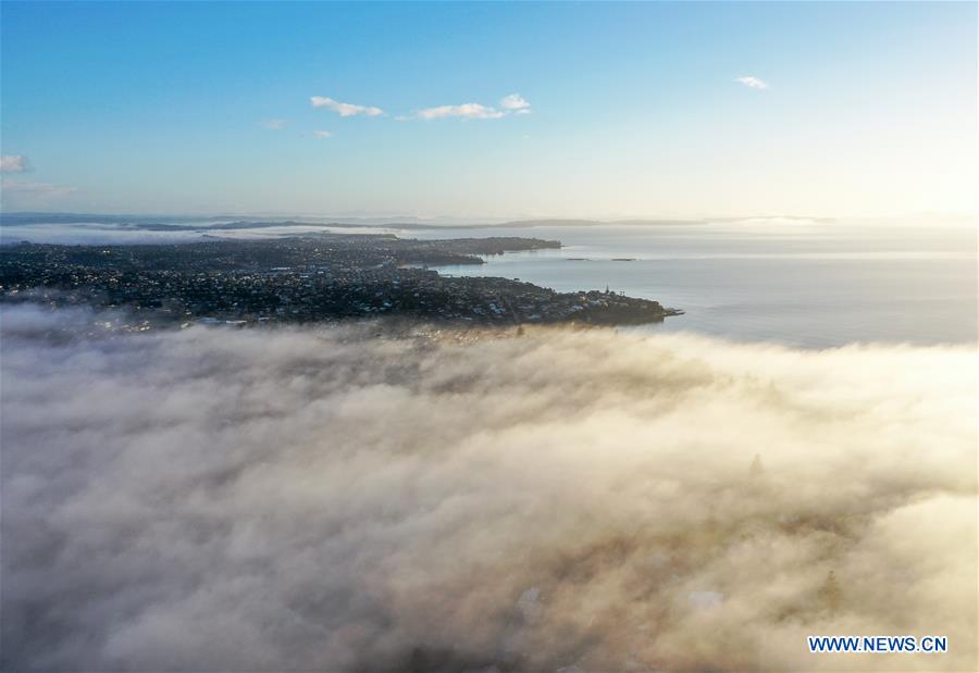 NEW ZEALAND-AUCKLAND-FOG