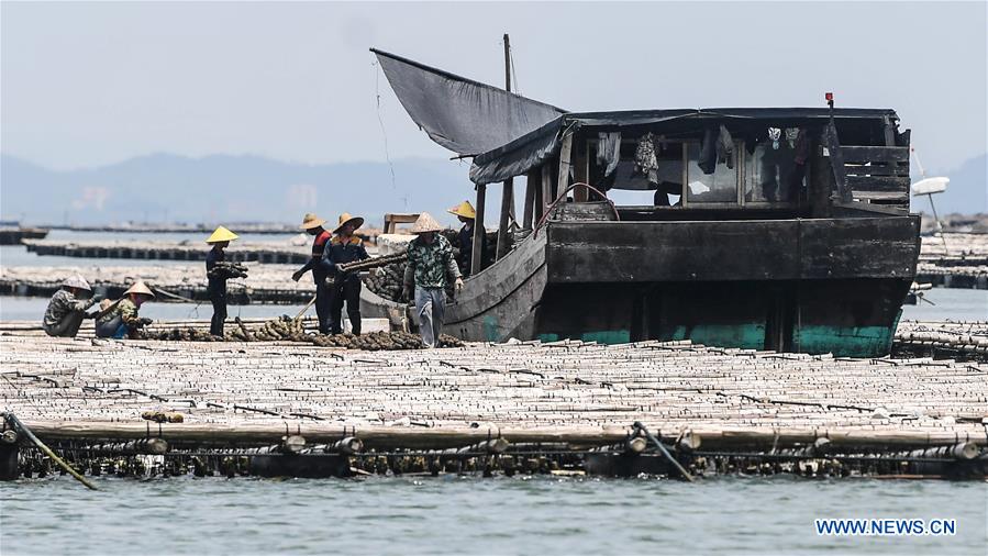 XINHUA PHOTOS OF THE DAY