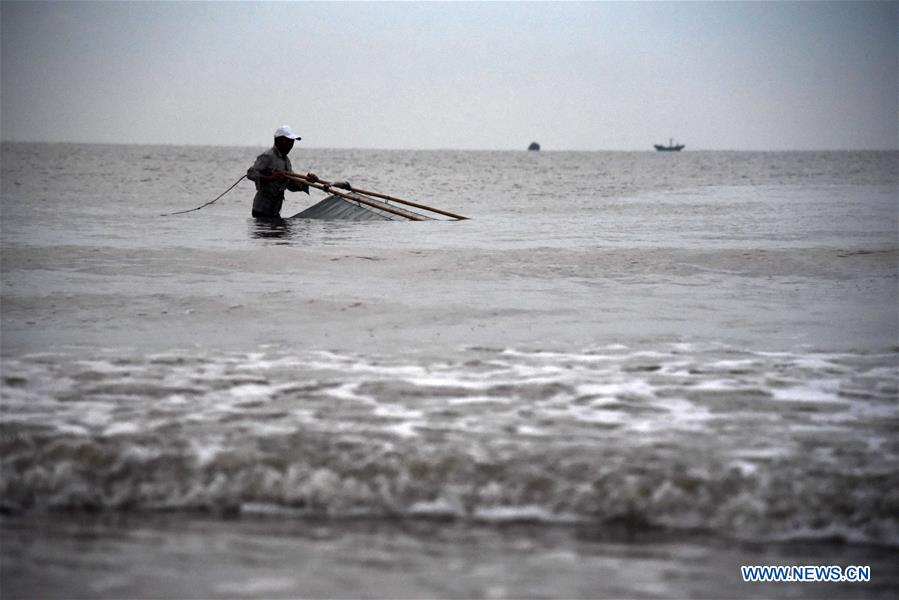 CHINA-SHANDONG-RIZHAO-SHRIMP HARVEST (CN)