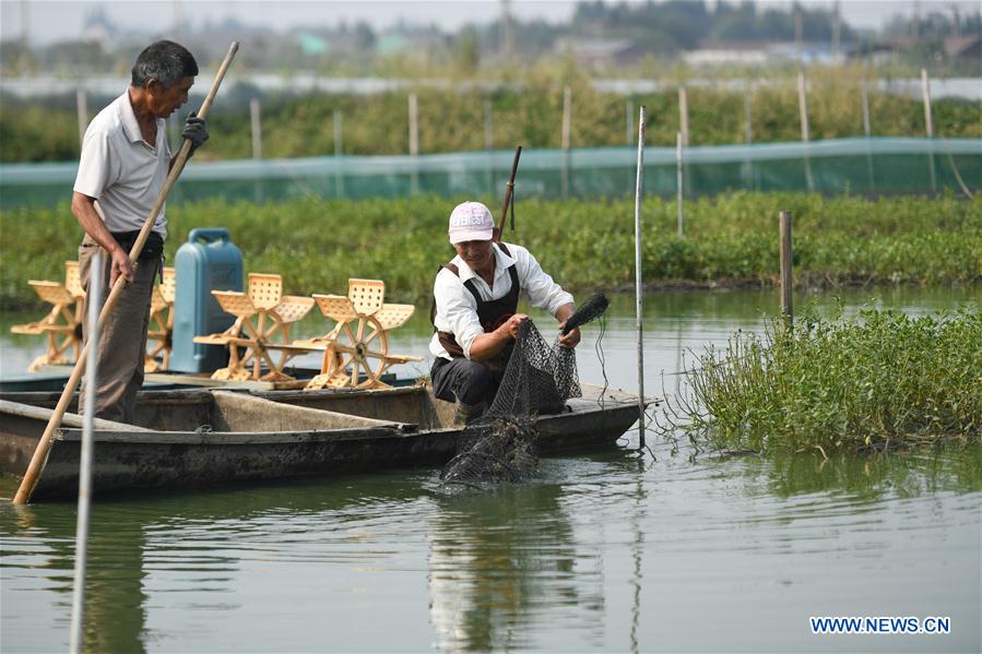 CHINA-ZHEJIANG-TAIHU-CRABS-HARVEST (CN)