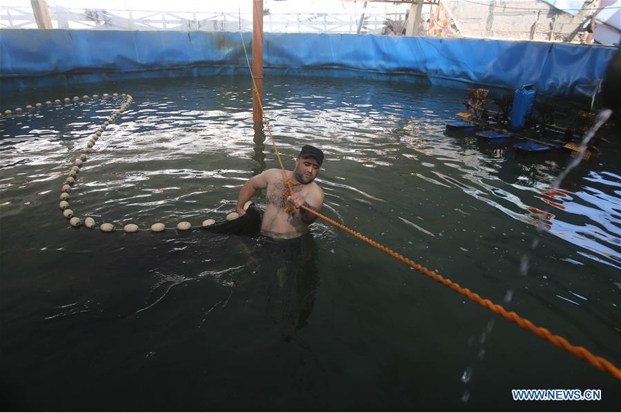 MIDEAST-GAZA-FISH FARM