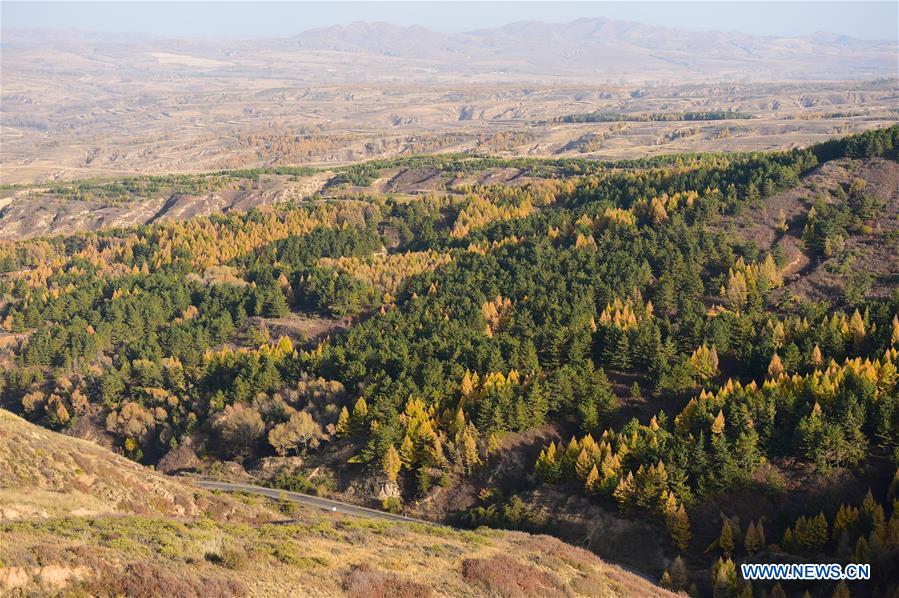 CHINA-INNER MONGOLIA-HORINGER COUNTY-AUTUMN SCENERY (CN)