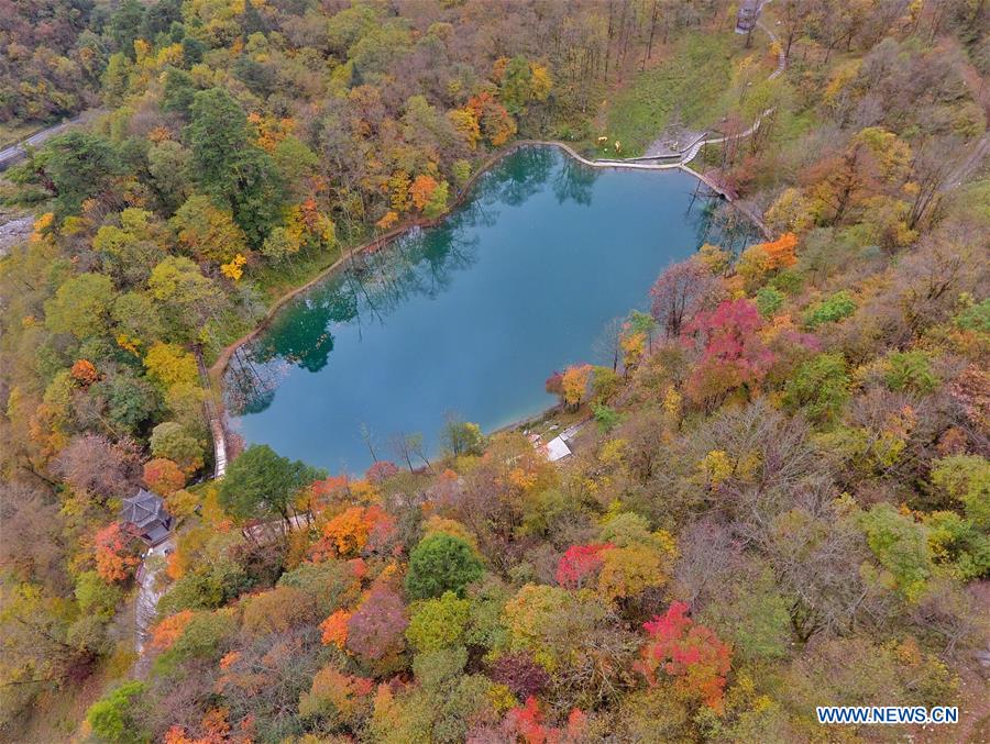 CHINA-SICHUAN-TIANQUAN-AUTUMN SCENERY (CN)