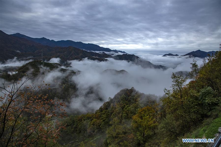 CHINA-HUBEI-SHENNONGJIA-SEA OF CLOUDS(CN)