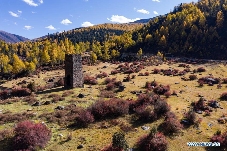 CHINA-SICHUAN-AUTUMN SCENERY (CN)