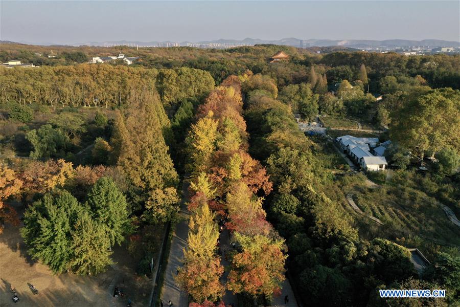 CHINA-NANJING-AUTUMN-XIAOLING MAUSOLEUM-SCENERY (CN)