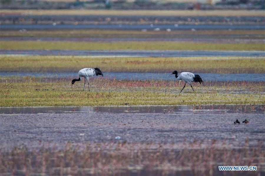 CHINA-YUNNAN-DEQEN-SCENERY (CN)