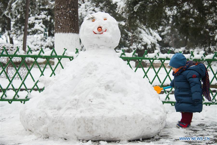 CHINA-BEIJING-SNOW SCENERY (CN)