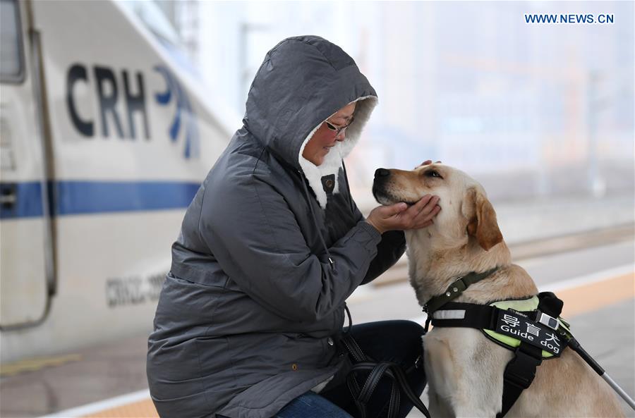 CHINA-SHAANXI-XI'AN-GUIDE DOG-SPRING FESTIVAL TRAVEL RUSH (CN)