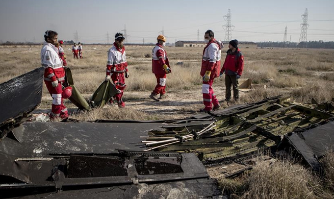 Iran seeks U.S., French help to decode crashed Ukrainian plane's black box