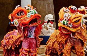 Chinese Lunar New Year celebrated in New Mexico, U.S.