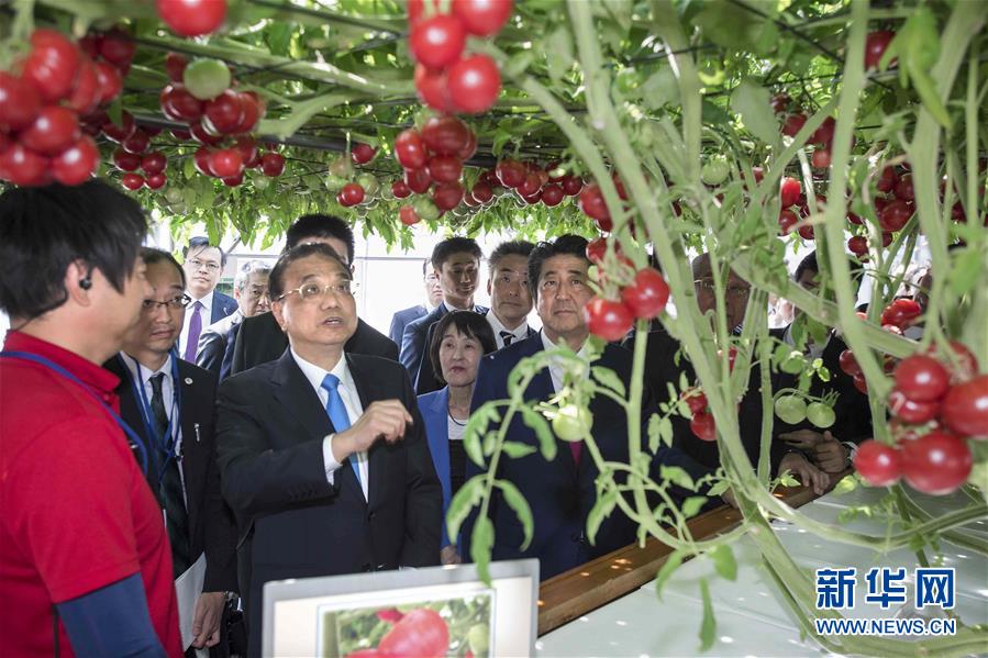 （时政）李克强参观北海道惠庭市现代生态农场