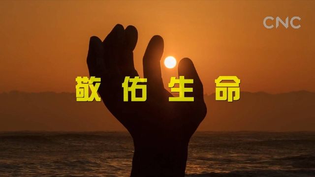 “一带一路”全球行| 仁济天下 大爱无疆