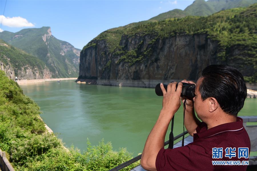 （新华全媒头条·图文互动）（10）待到满山红叶时——三峡重庆库区践行新发展理念面面观