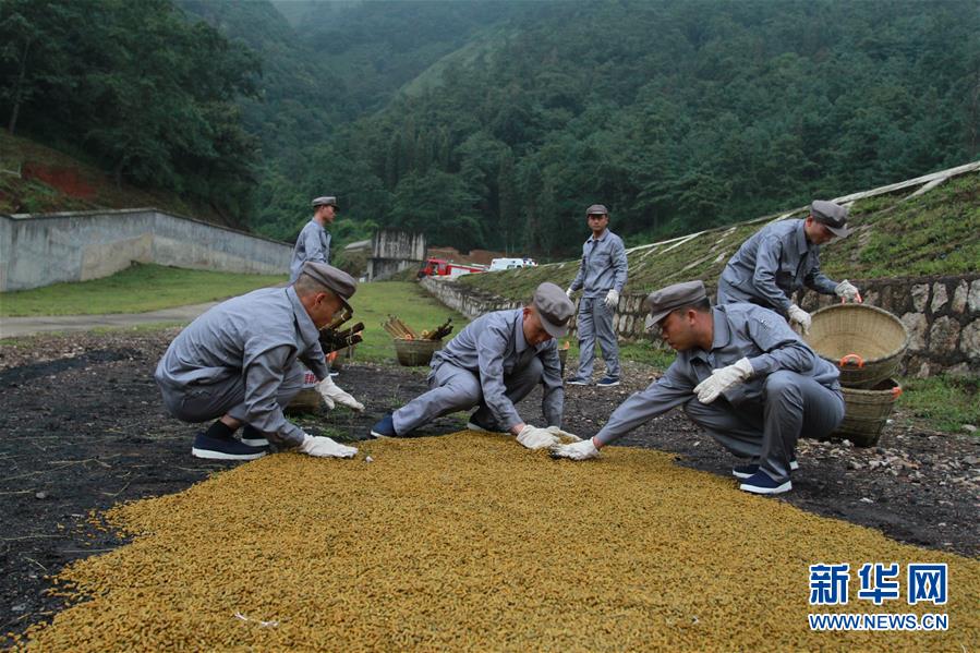 （在习近平强军思想指引下·我们在战位报告·图文互动）（3）牢记统帅嘱托  做刀尖上的舞者——记联勤保障部队某报废武器弹药销毁站参谋长陈雪礼