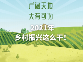 广阔天地 大有可为 2021年乡村振兴这么干！